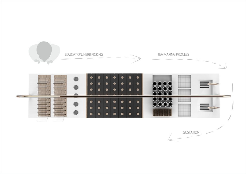 plant，healthy，tradition，natural，