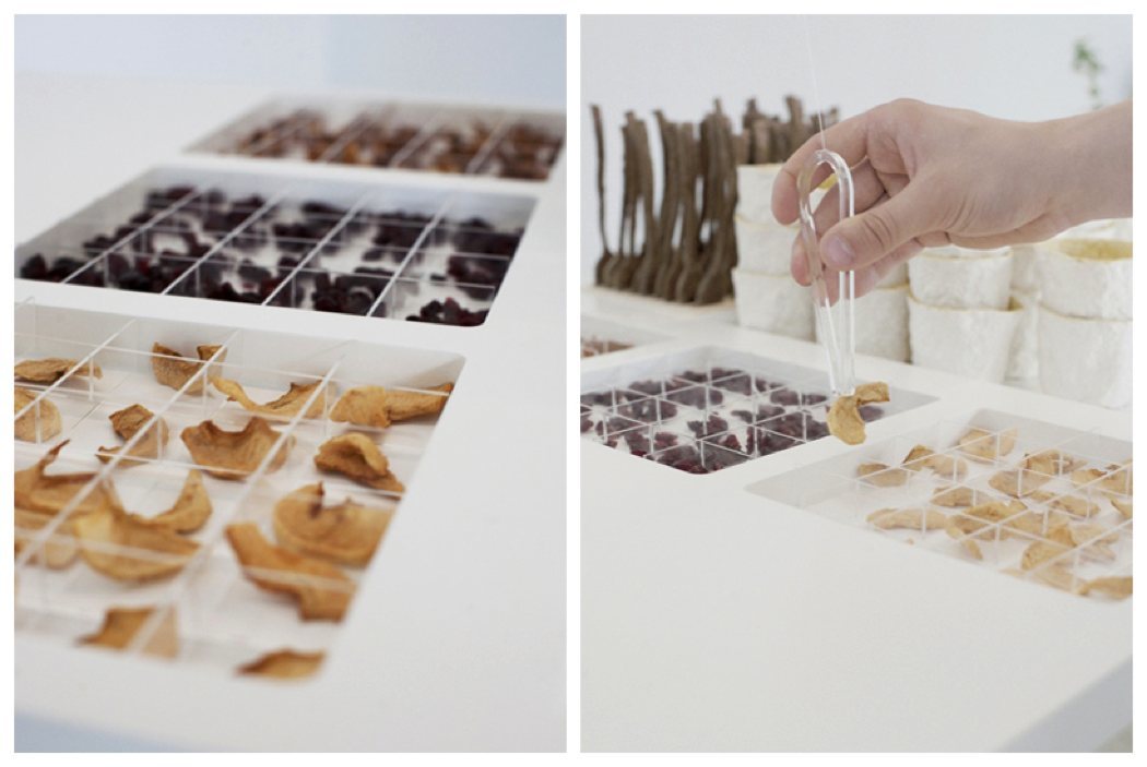 plant，healthy，tradition，natural，