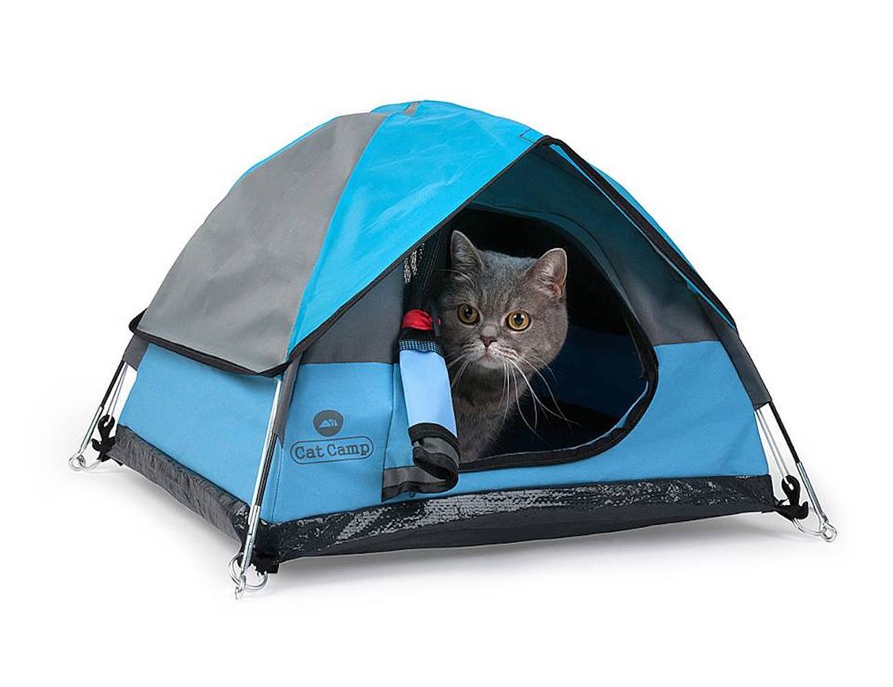 Cat Camp，宠物，帐篷，猫咪，