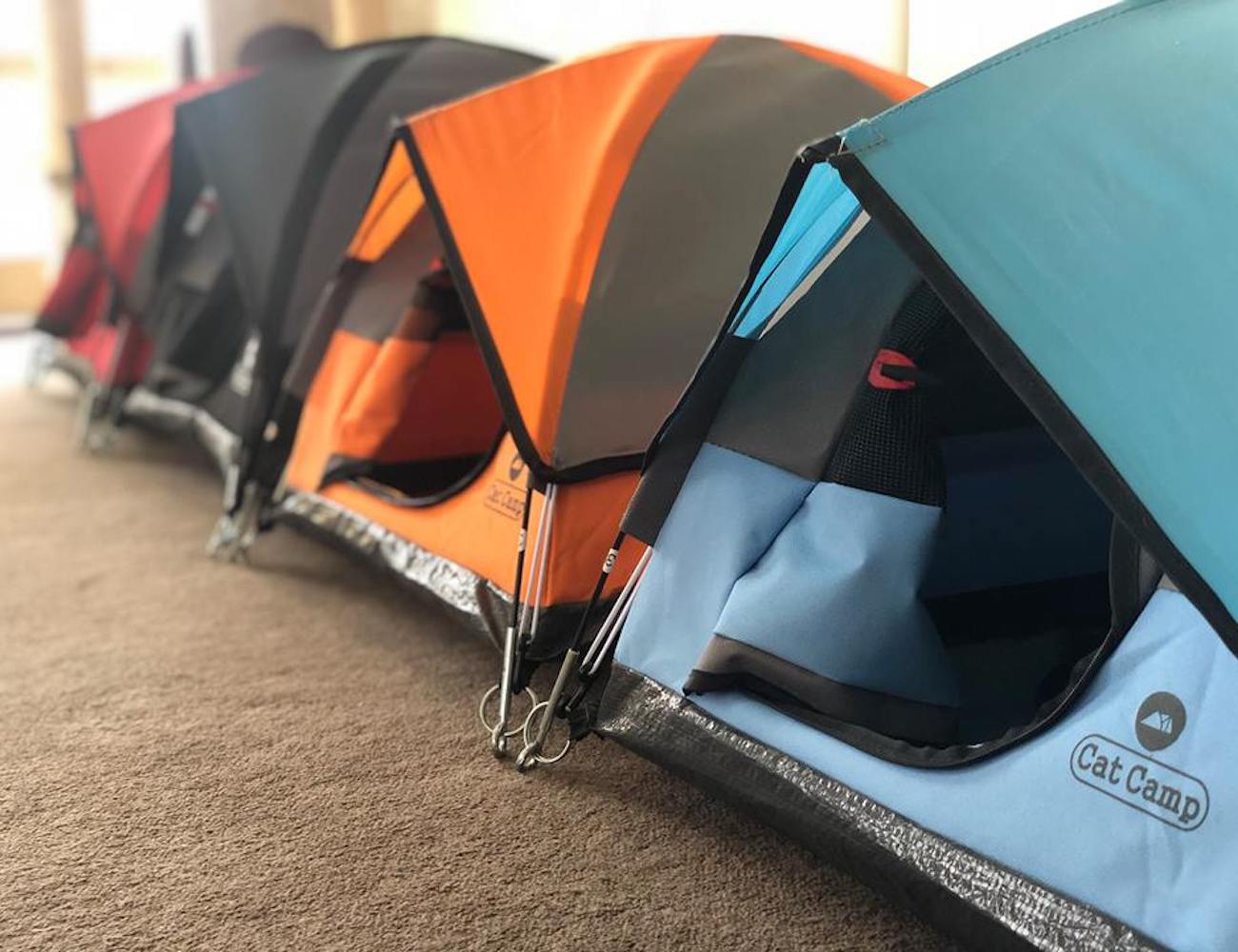 Cat Camp，Pets，Tent，Kitty，