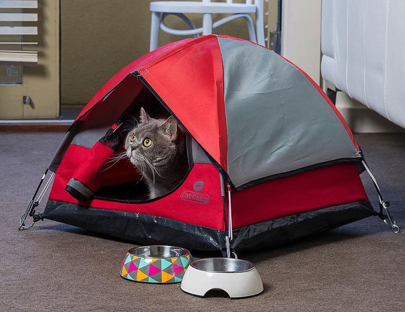 Cat Camp，宠物，帐篷，猫咪，