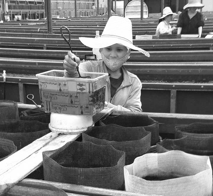 Mechanical products，Automatic design，industrial design，