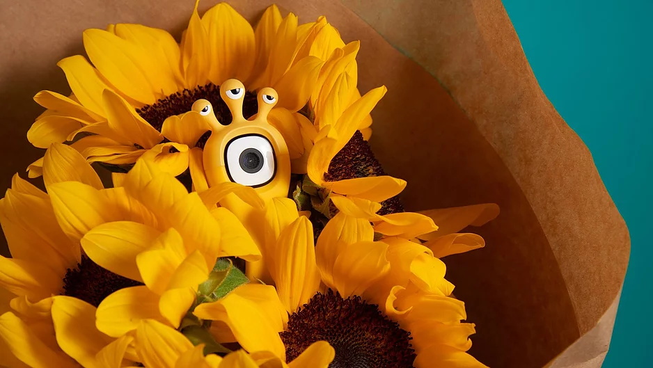 Self timer，silica gel，Flex Cam PIC，