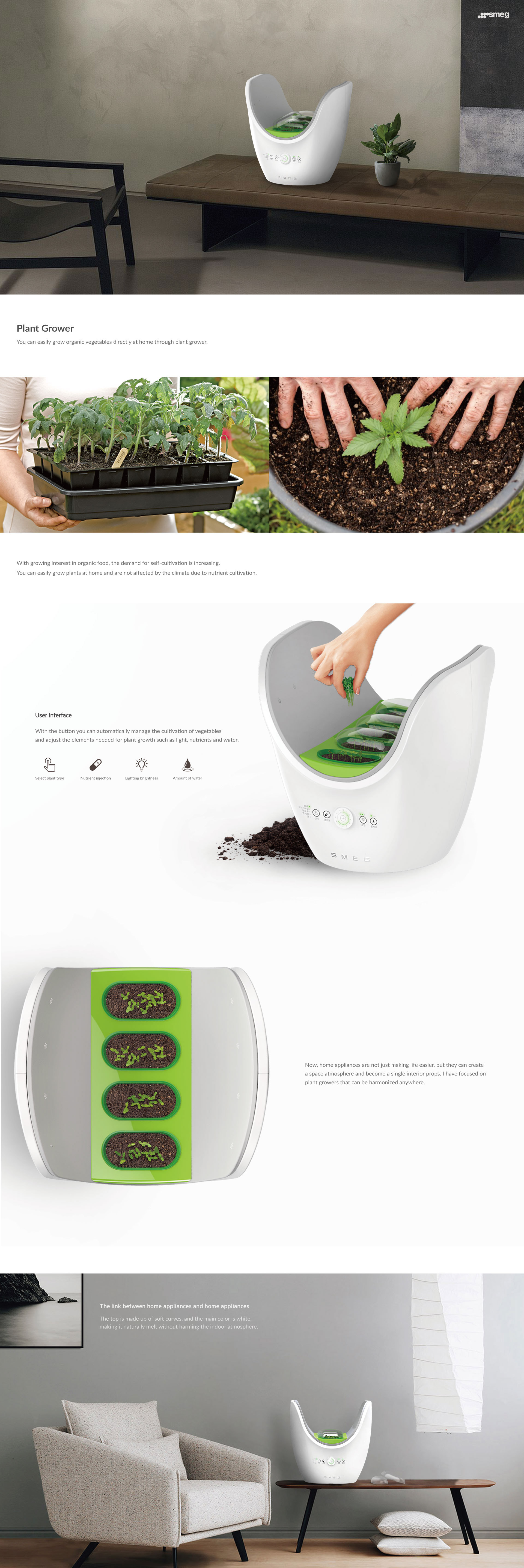 Botany，indoor，plant，