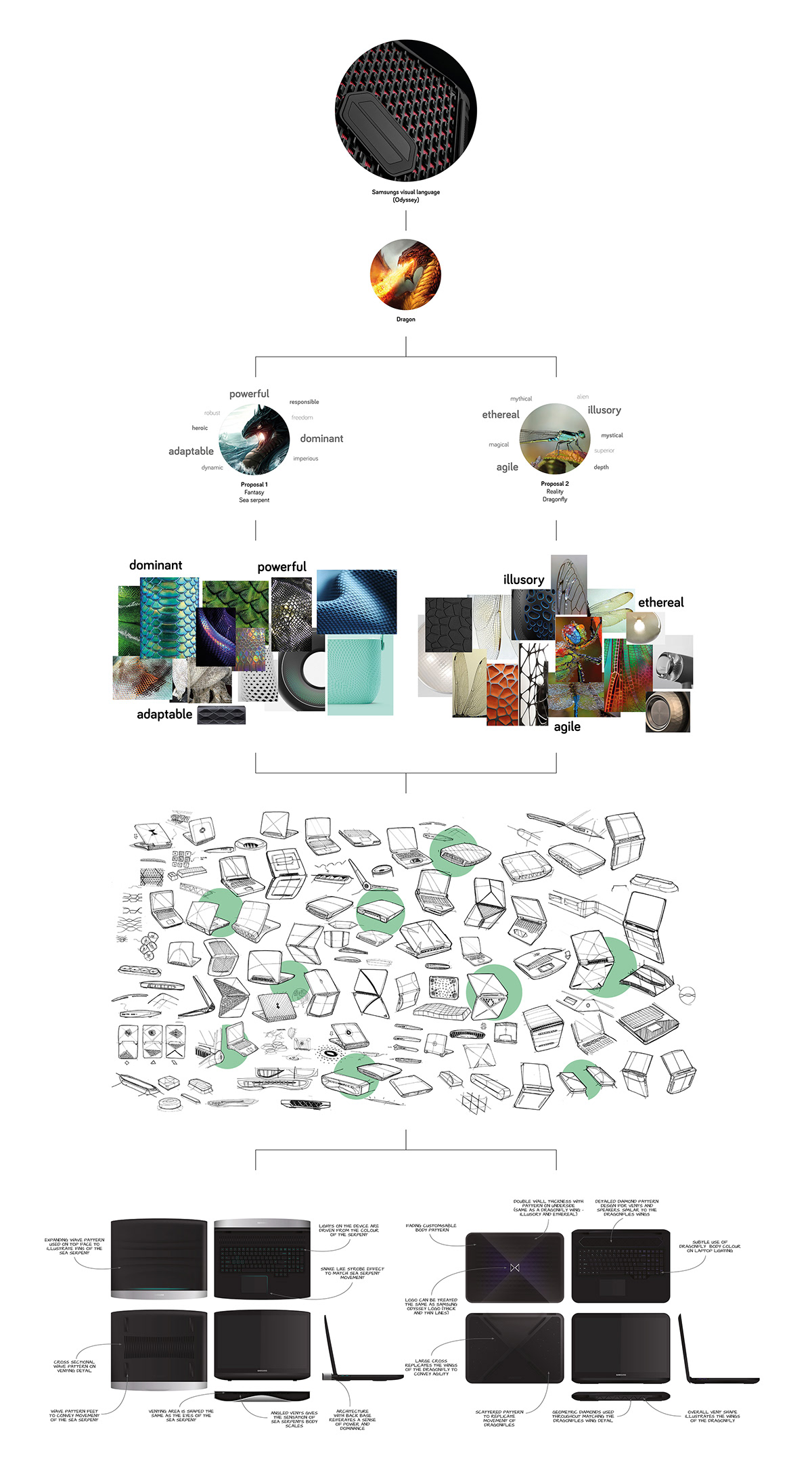 Sea snake，Escape，notebook，Gen Z，