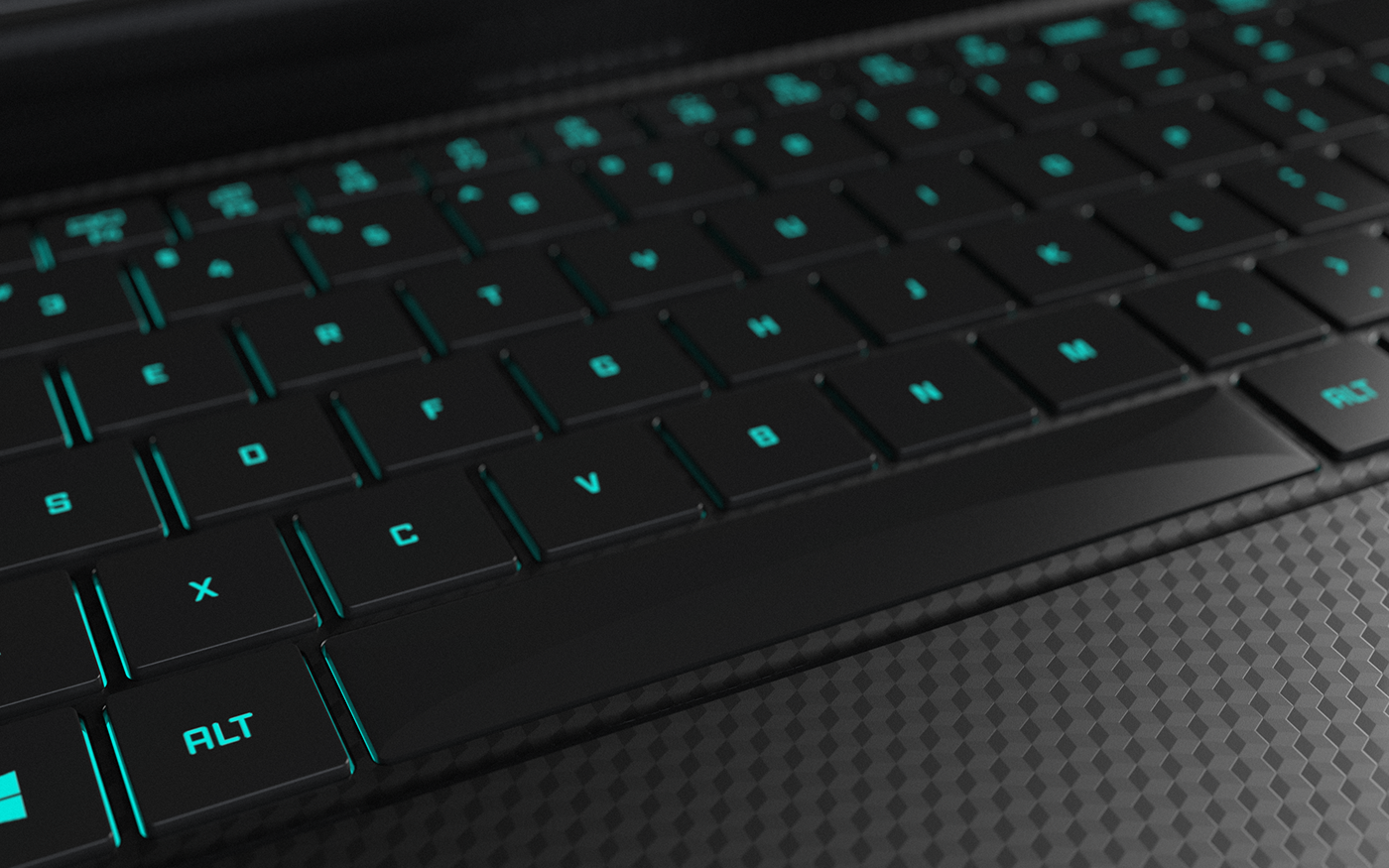 Sea snake，Escape，notebook，Gen Z，