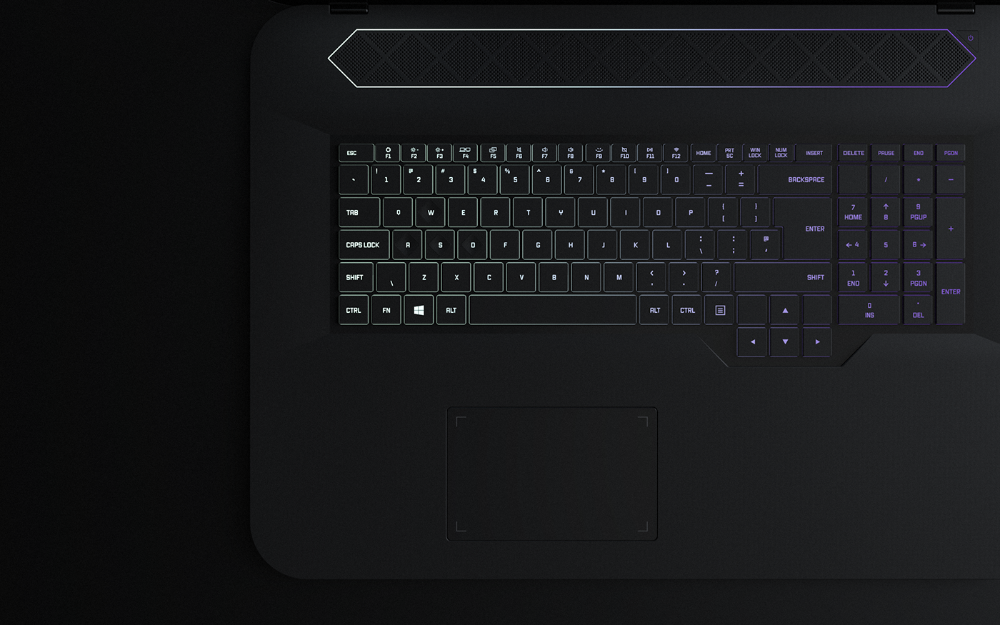 Sea snake，Escape，notebook，Gen Z，