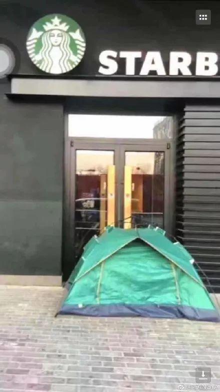 Starbucks，Restricted payment，cat paw cup，cherry blossoms，Pig cup，