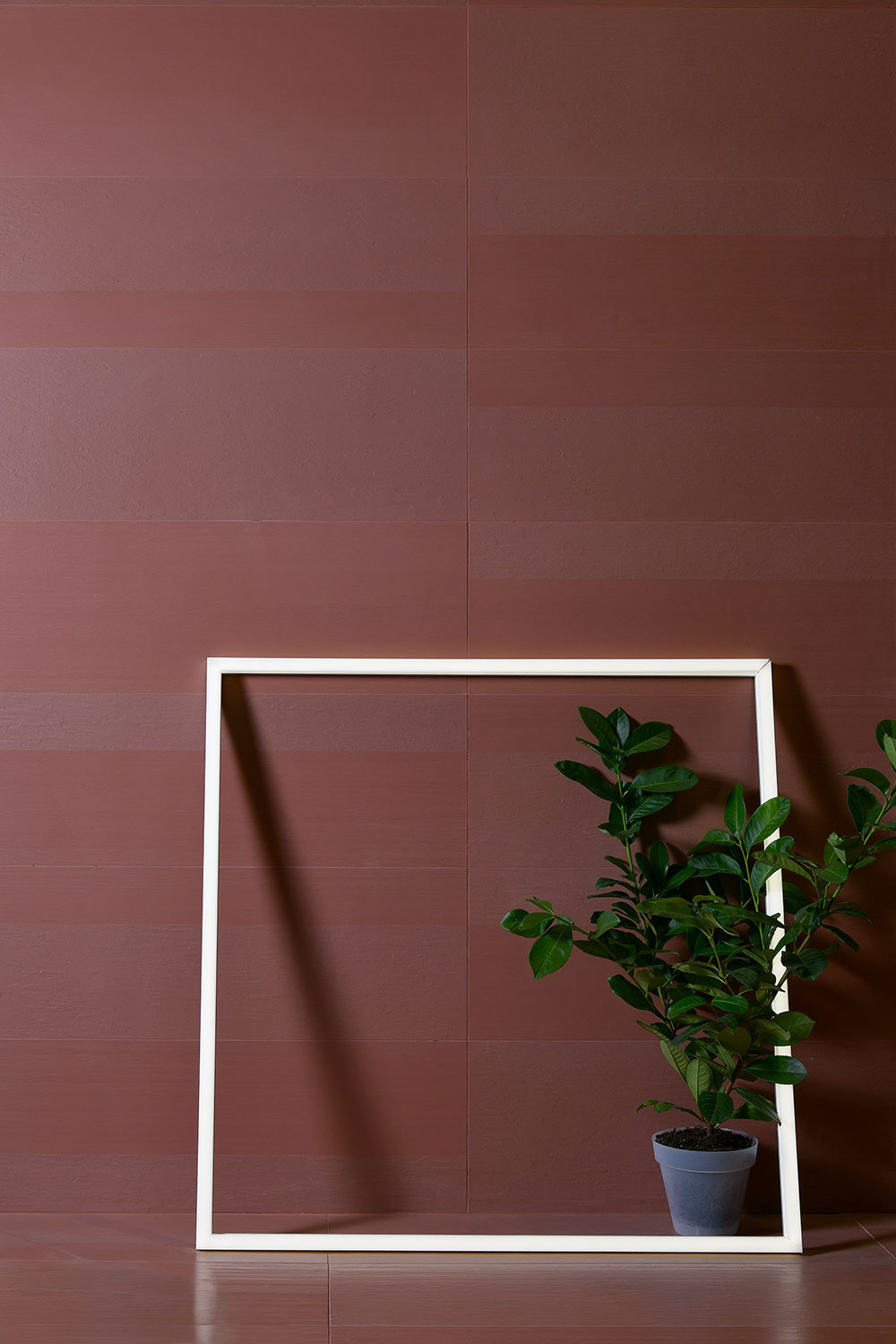 texture，metope，Stone wood，