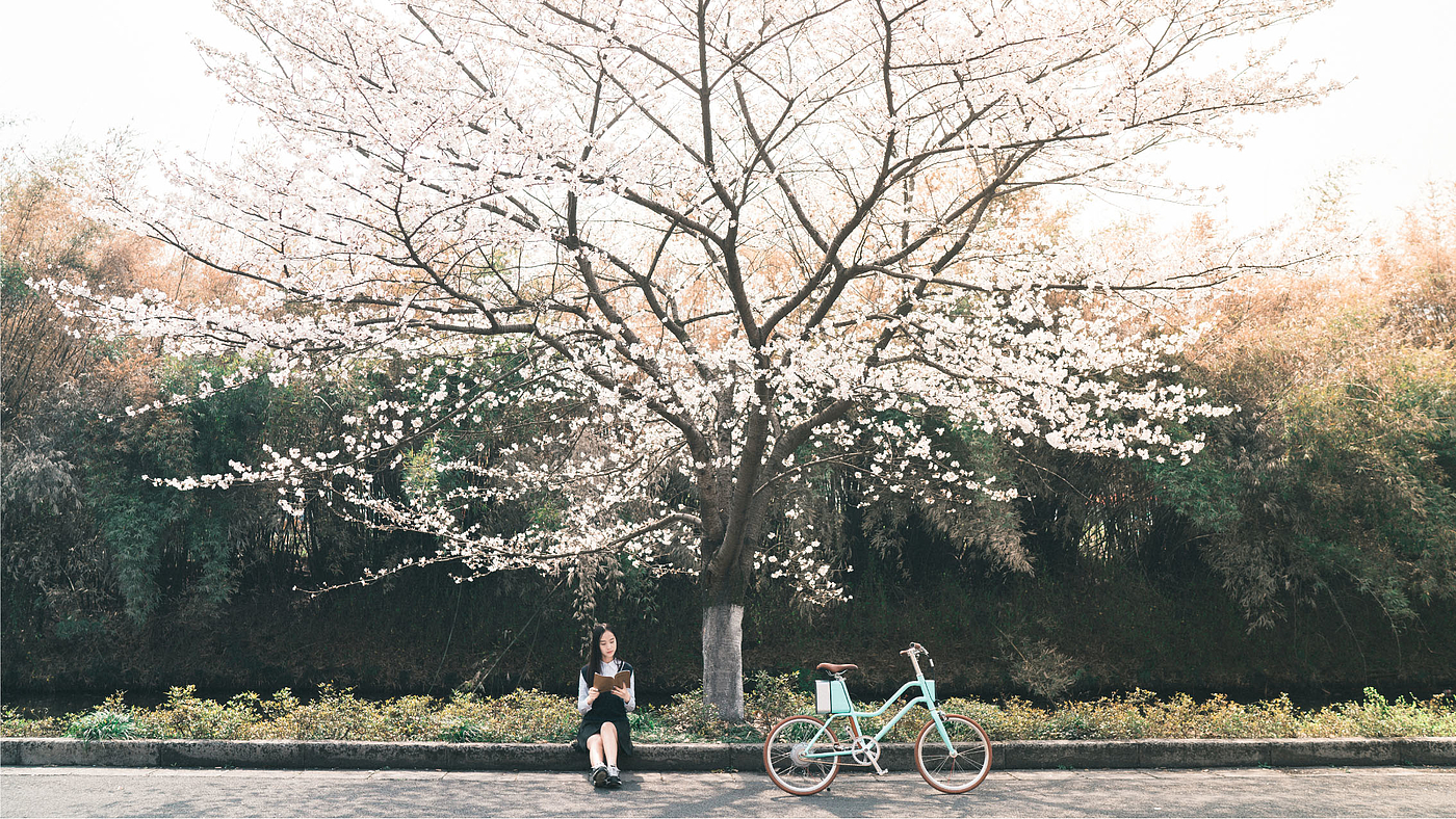 Bike, beauty，