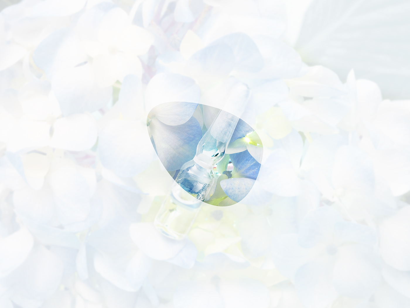 Native Beauty，Restoring the essence of the ampoule，Ampoule Set，Second White，Maintenance products，Cosmetics，Medical beauty，Medicated makeup，