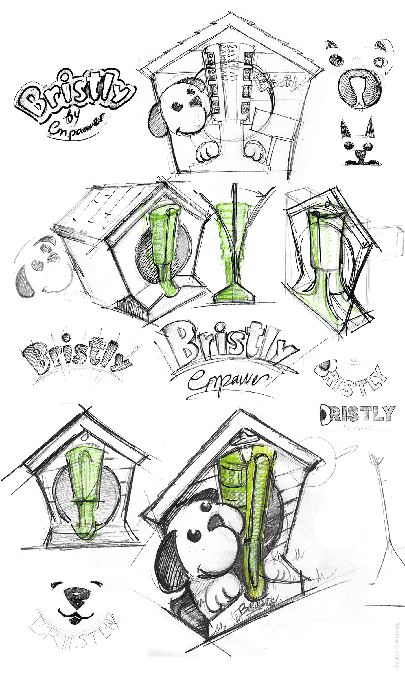 dog，Bristly Brushing，tooth，brush one 's teeth，Hairy child，Pets，Backbone Branding，