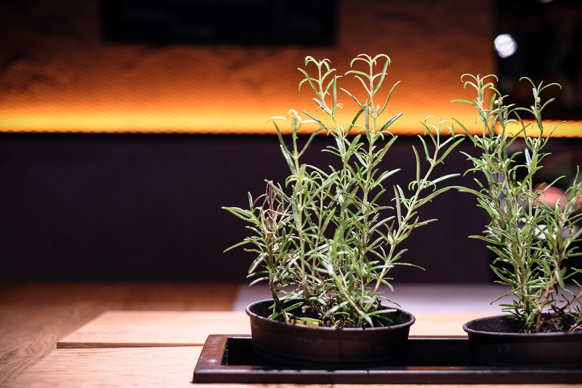 industrial design，Interior design，Marble，Metal，Potted plants，