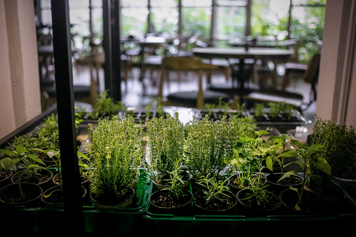 industrial design，Interior design，Marble，Metal，Potted plants，