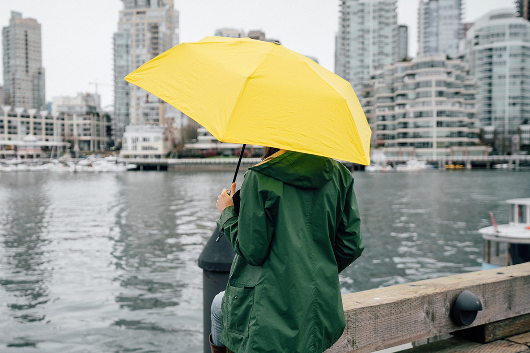 Hedgehog，Umbrella，Rain gear，originality，