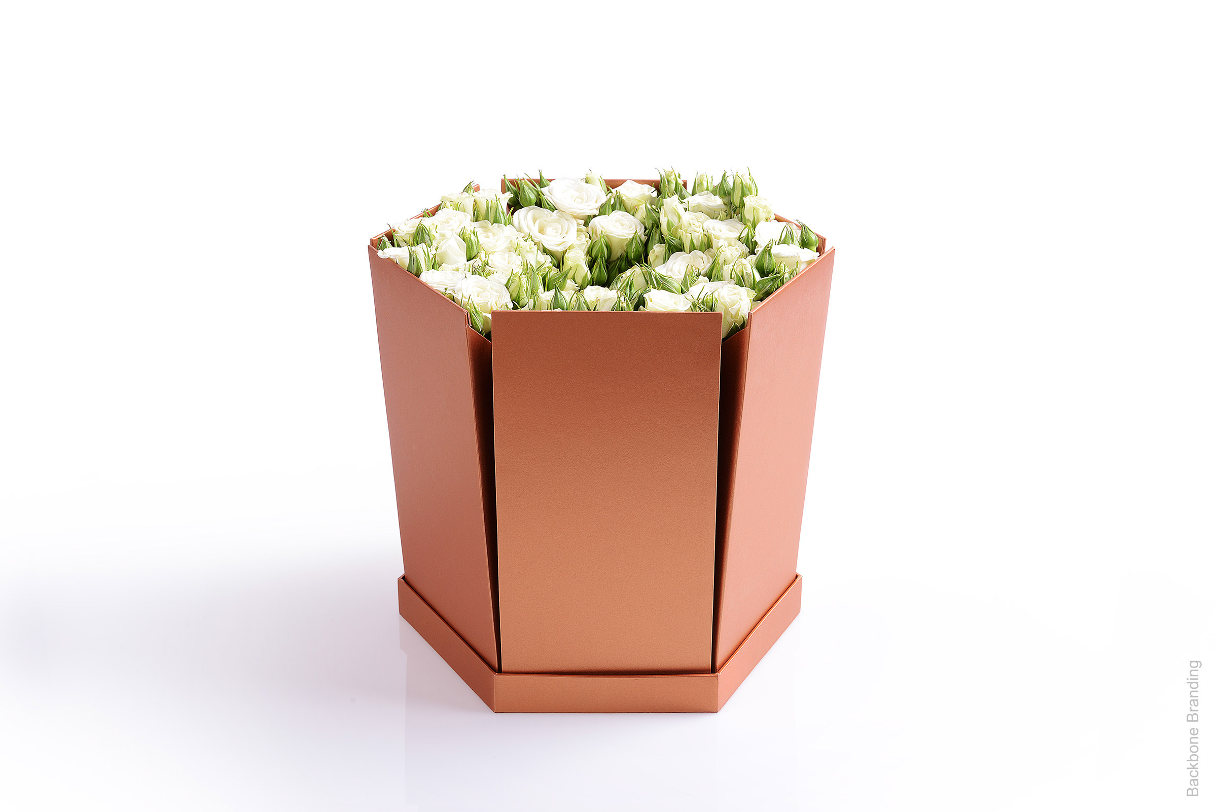 Serial design，Flower art，Brand design，