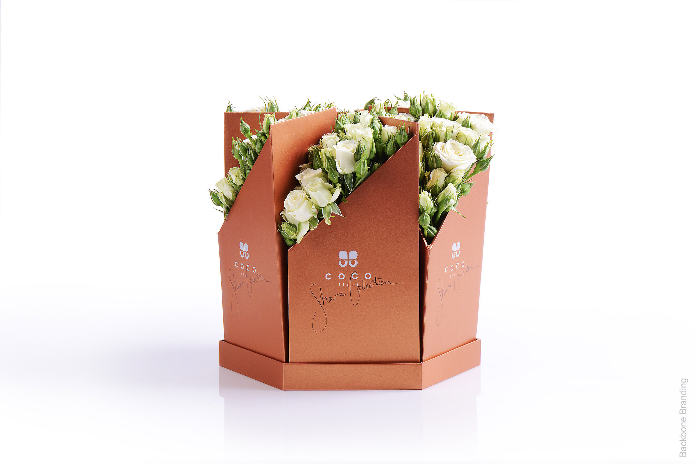 Serial design，Flower art，Brand design，