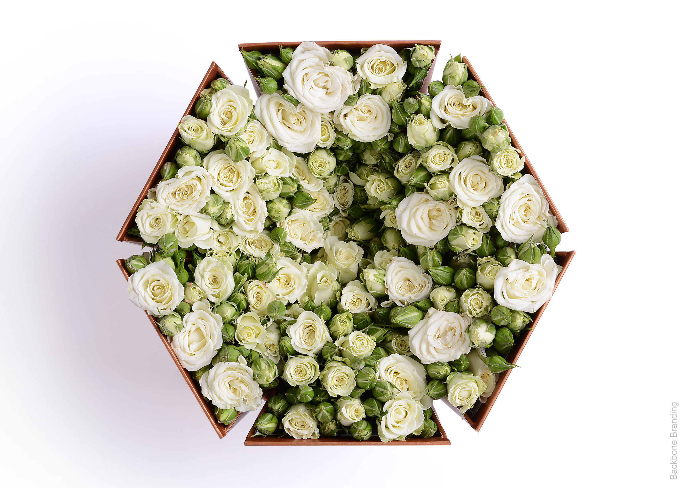 Serial design，Flower art，Brand design，