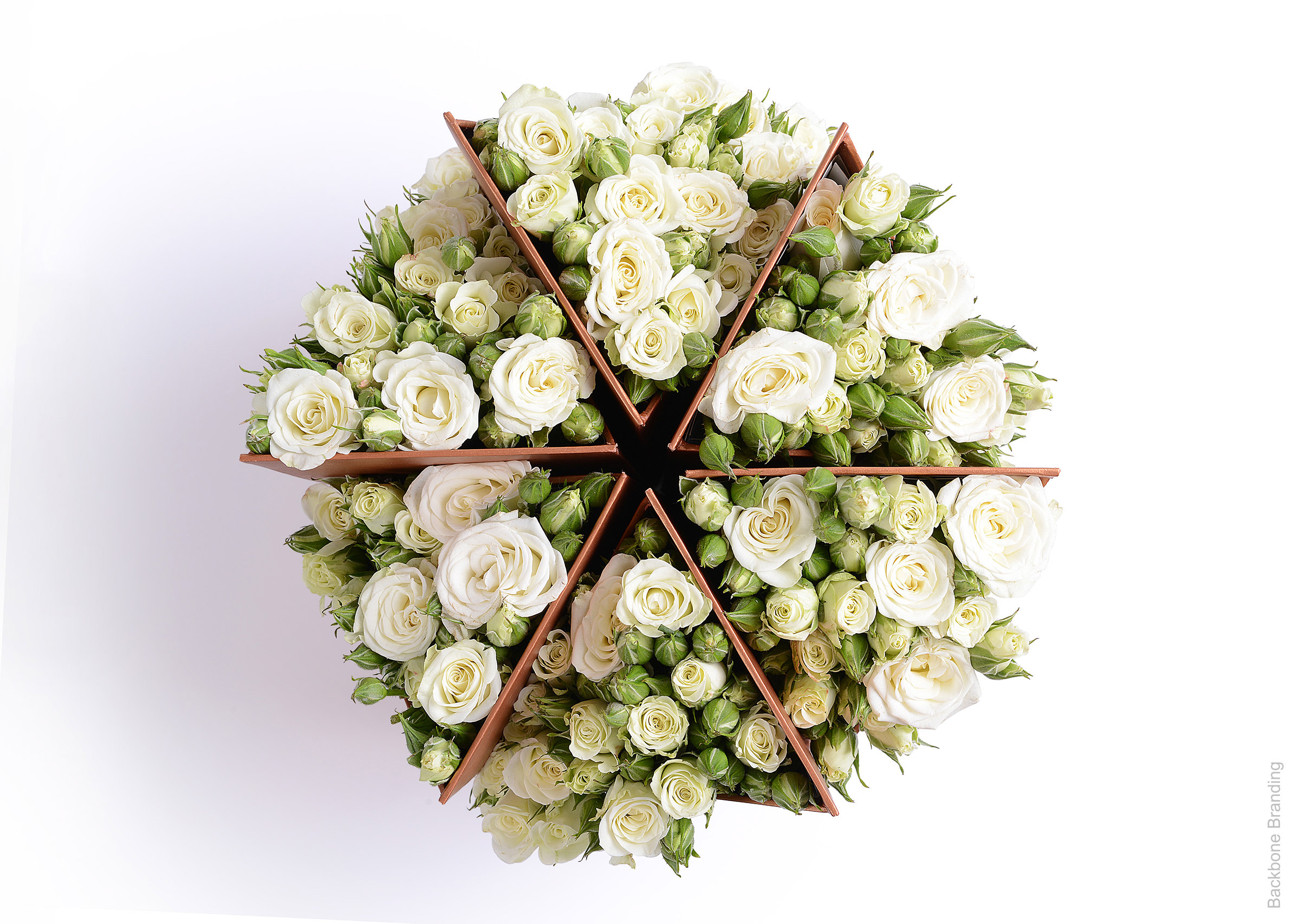 Serial design，Flower art，Brand design，