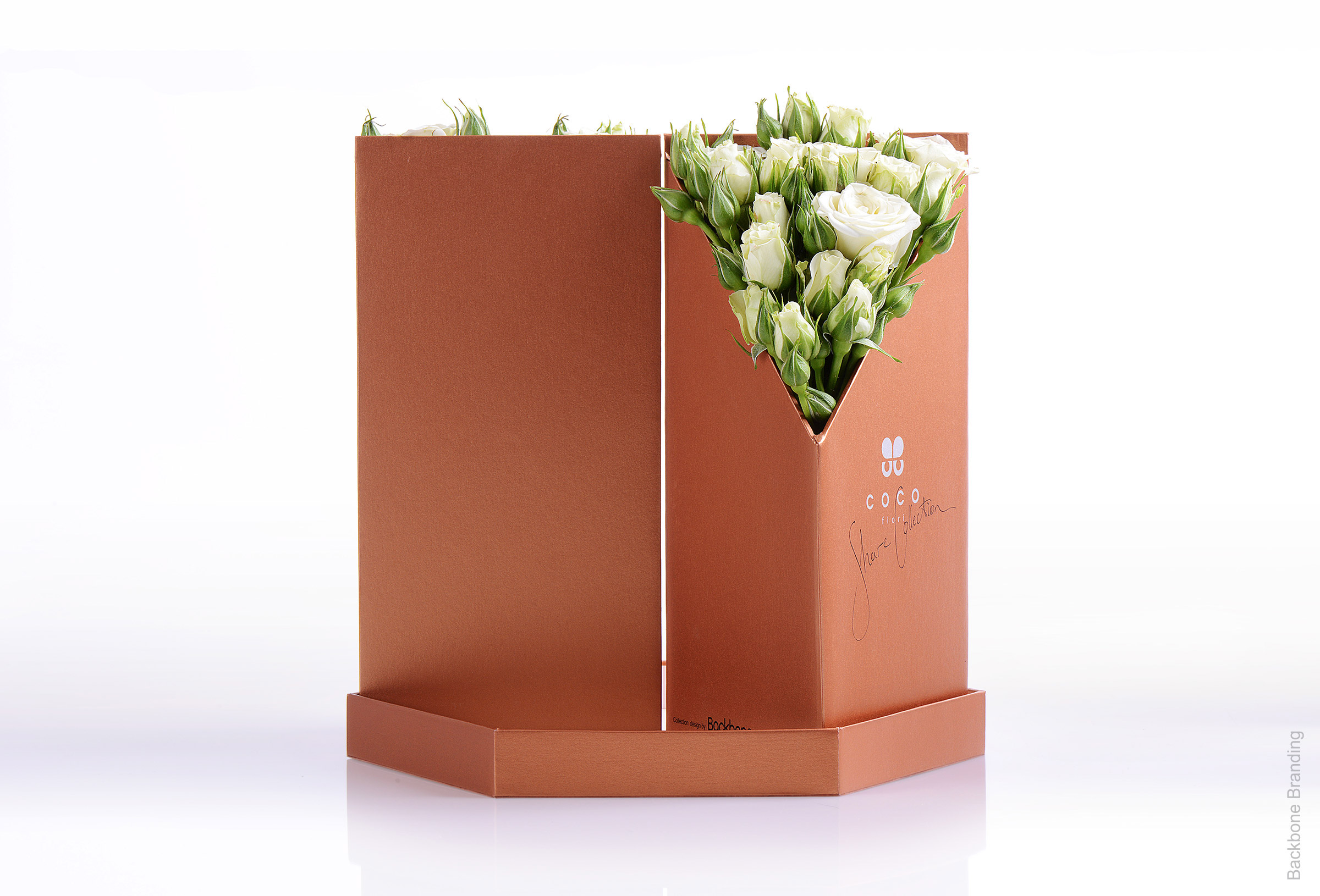 Serial design，Flower art，Brand design，