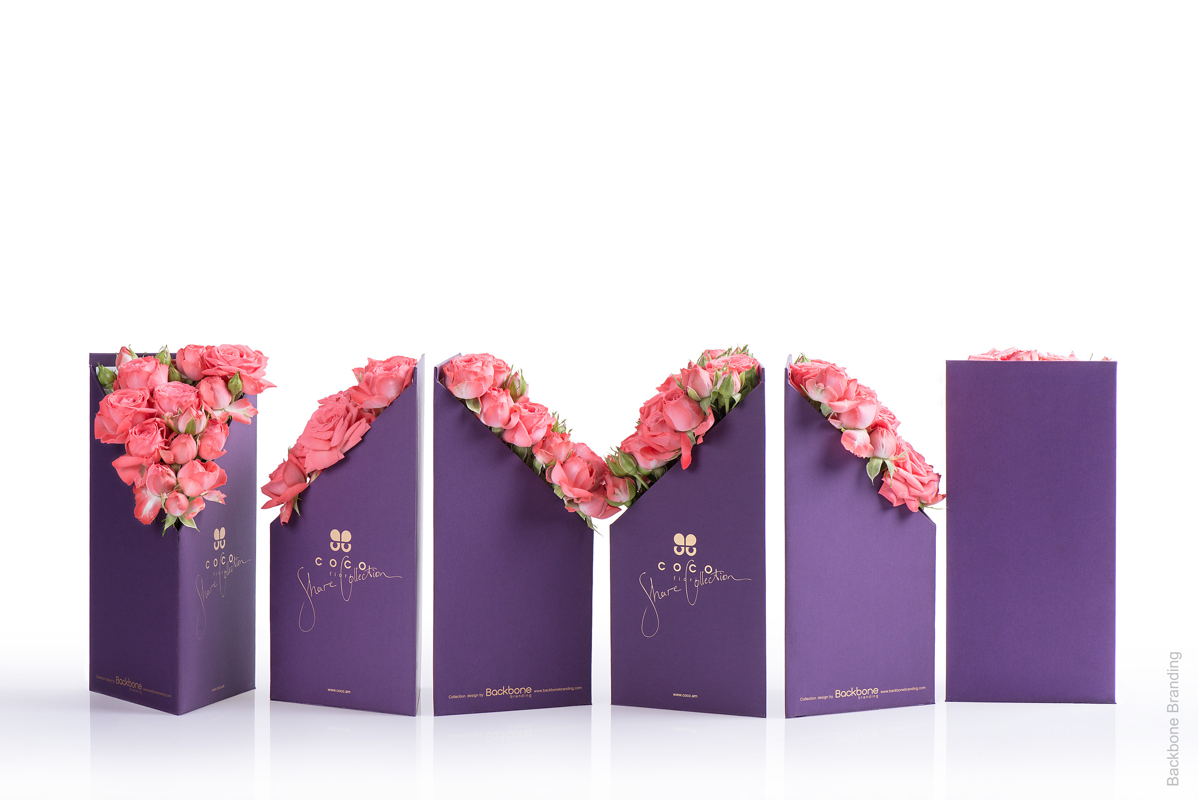 Serial design，Flower art，Brand design，