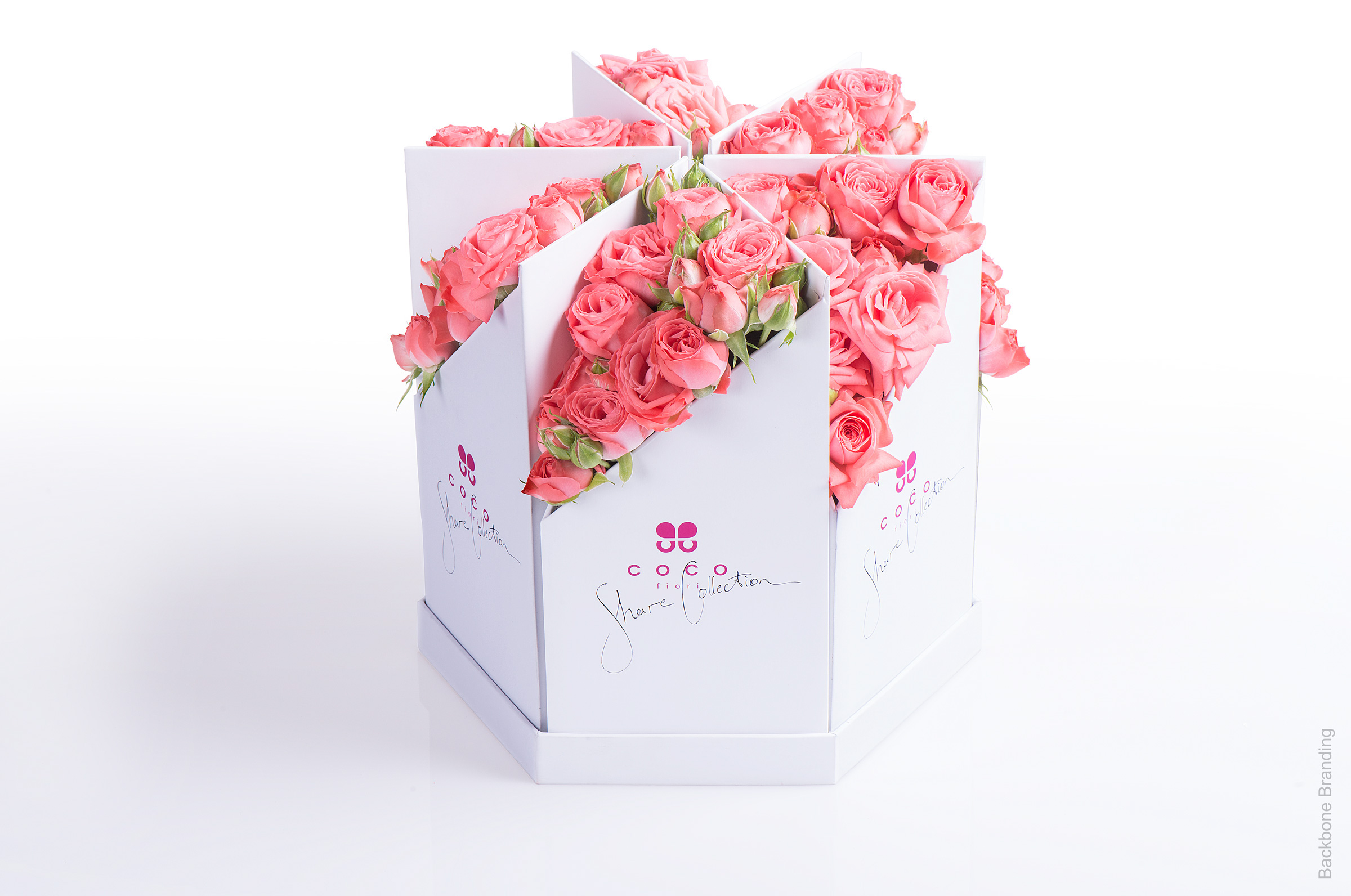 Serial design，Flower art，Brand design，