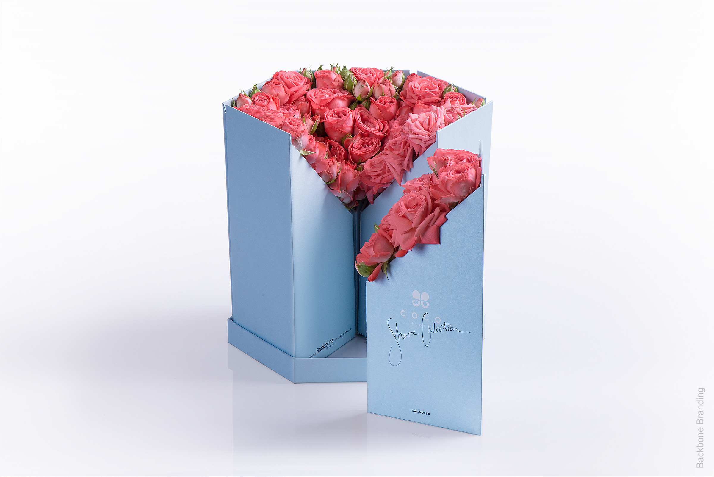 Serial design，Flower art，Brand design，