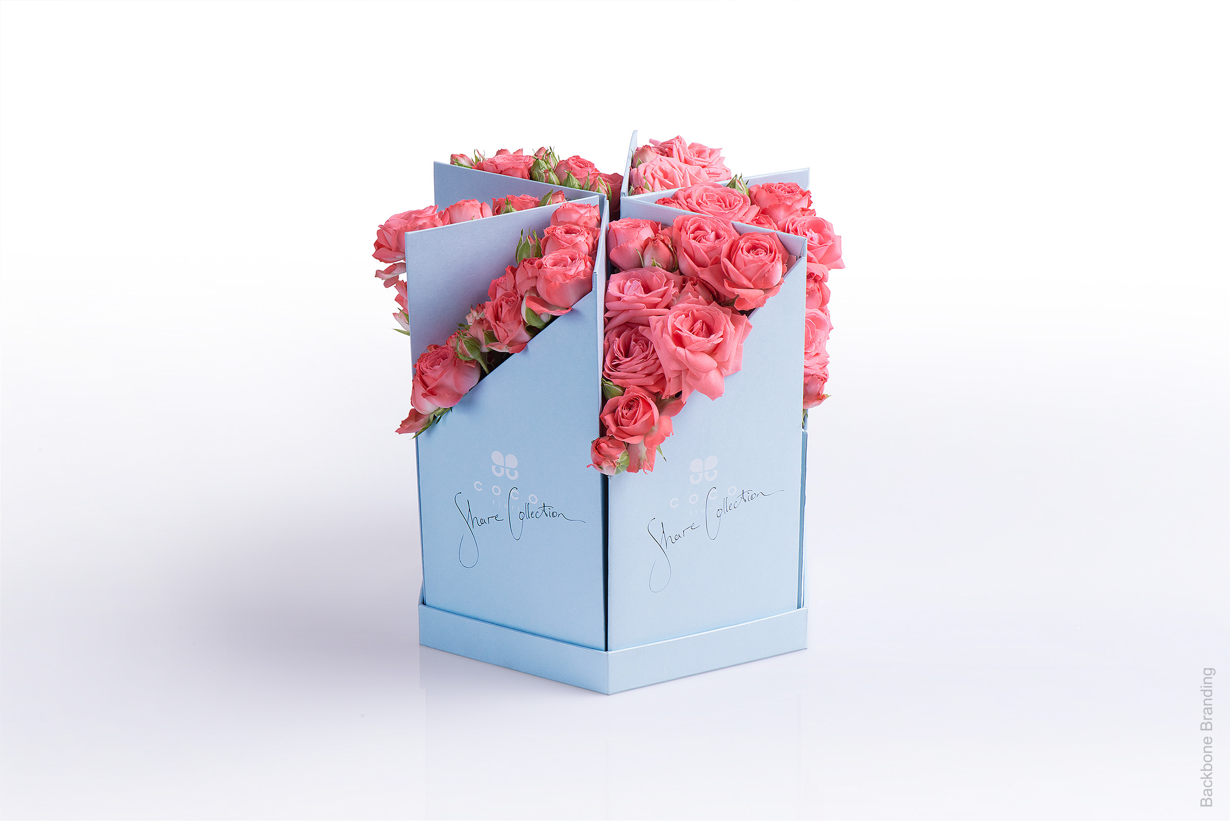 Serial design，Flower art，Brand design，