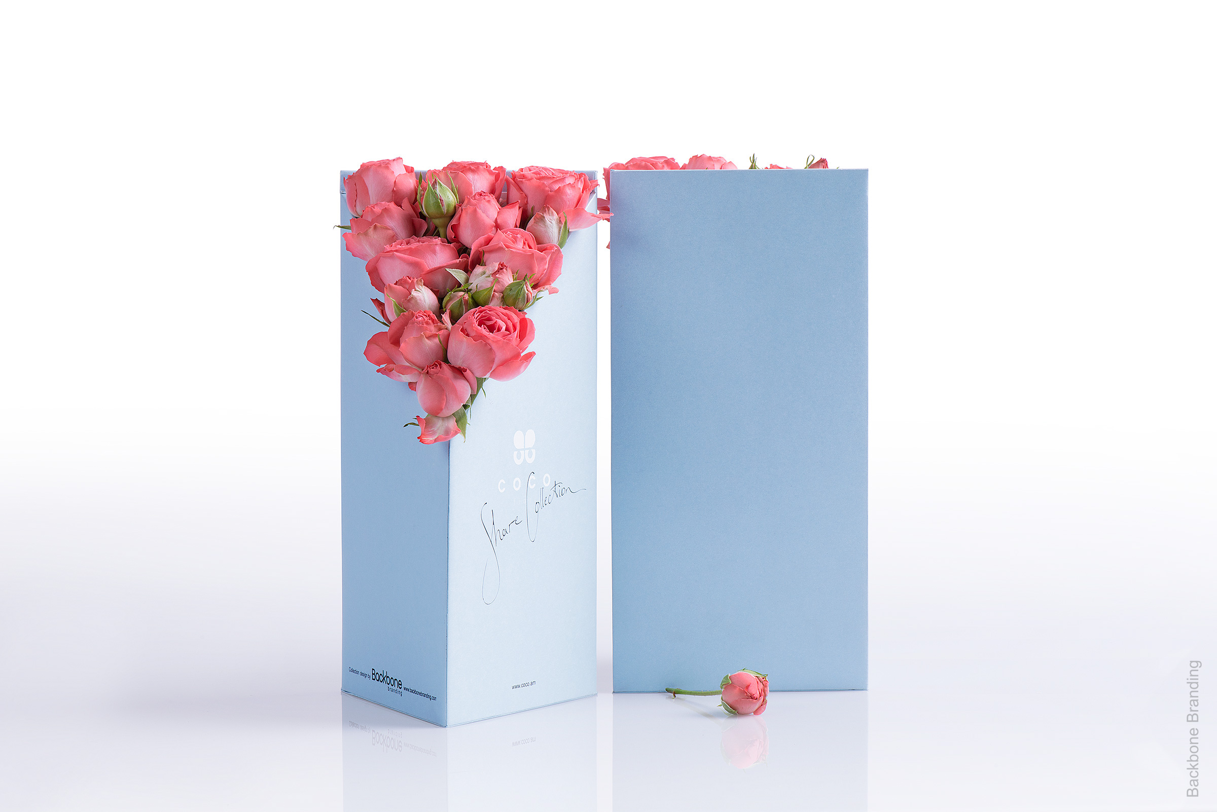 Serial design，Flower art，Brand design，