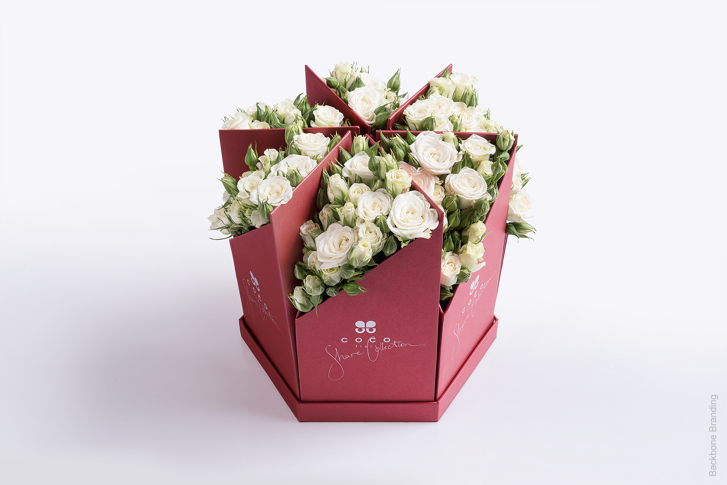 Serial design，Flower art，Brand design，