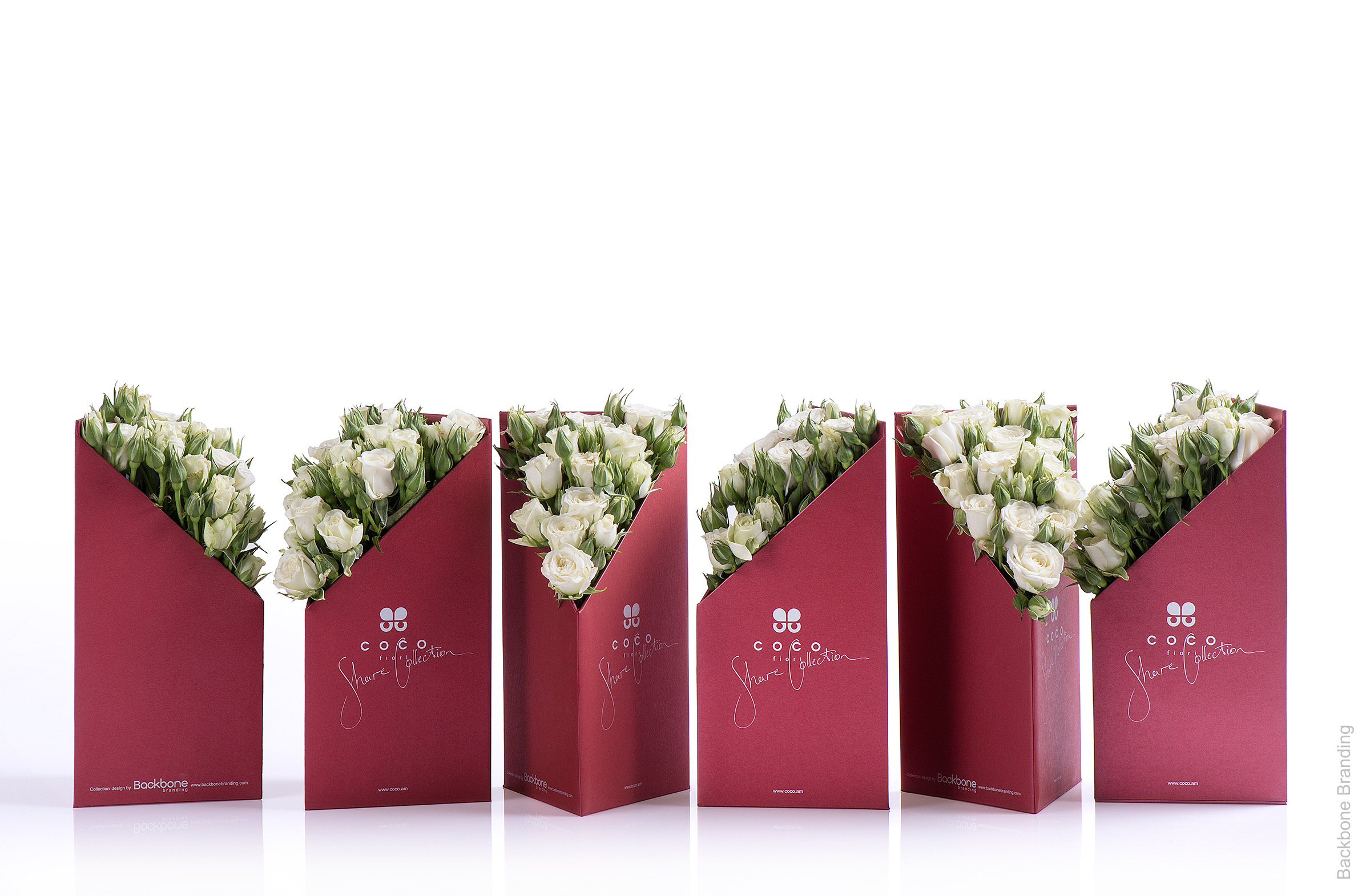 Serial design，Flower art，Brand design，