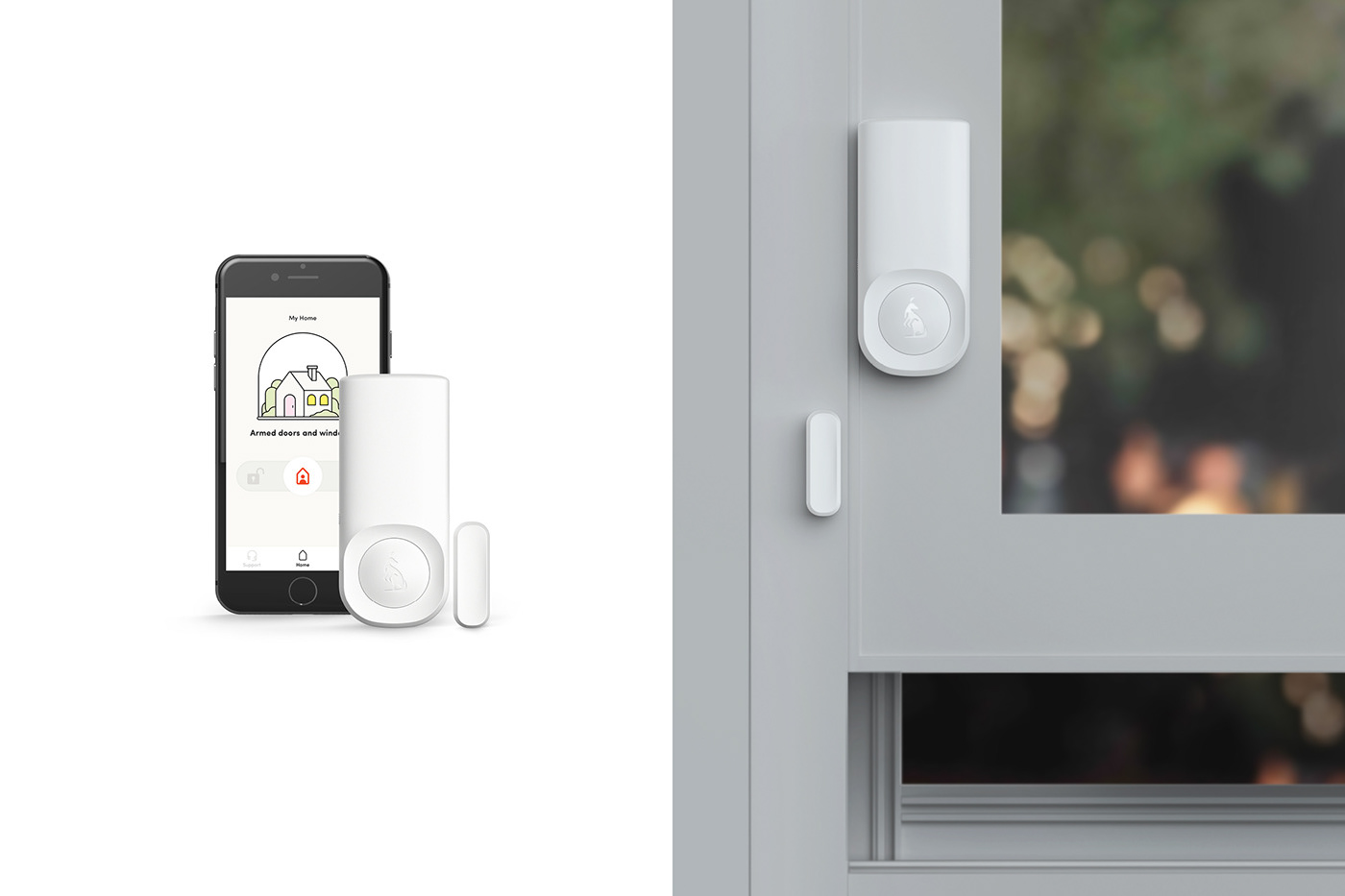 Aaron Saxton，app，Kangaroo，security，