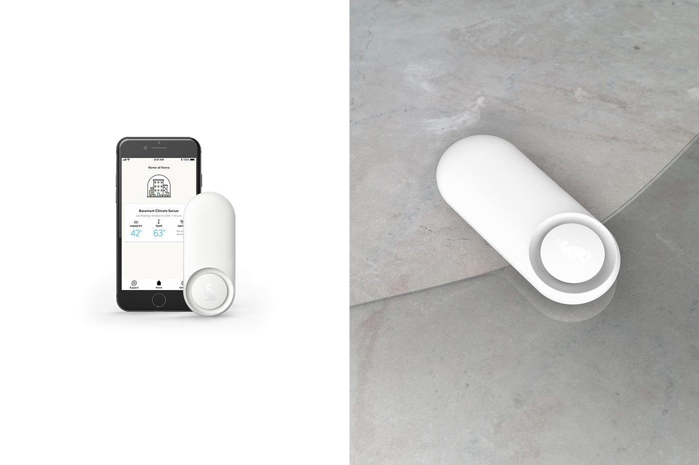 Aaron Saxton，app，Kangaroo，security，