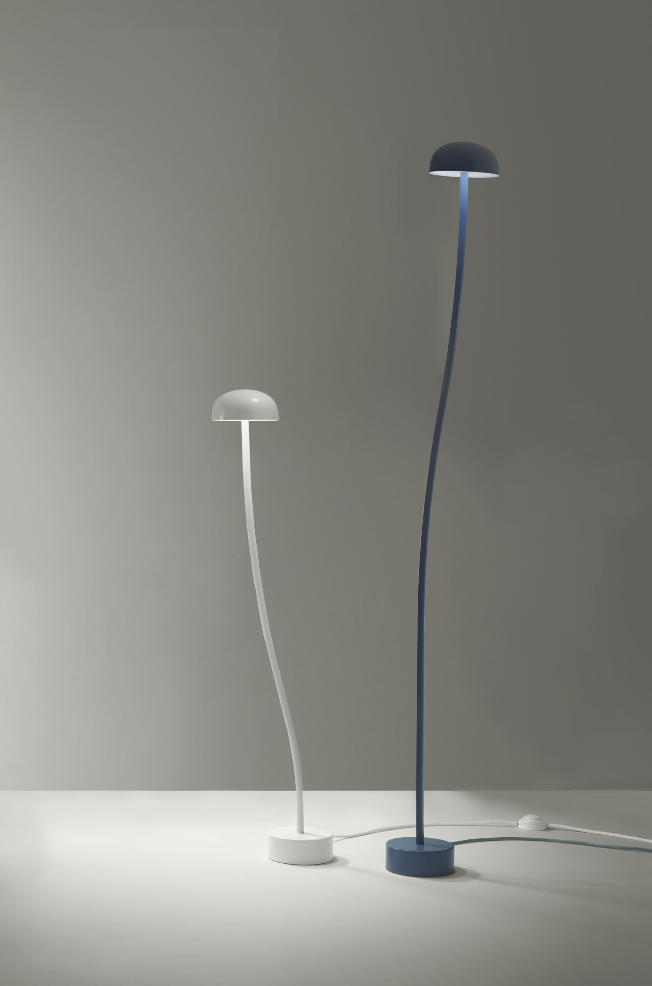 Curve for Zero，Desk lamp，lighting，Botany，Front，