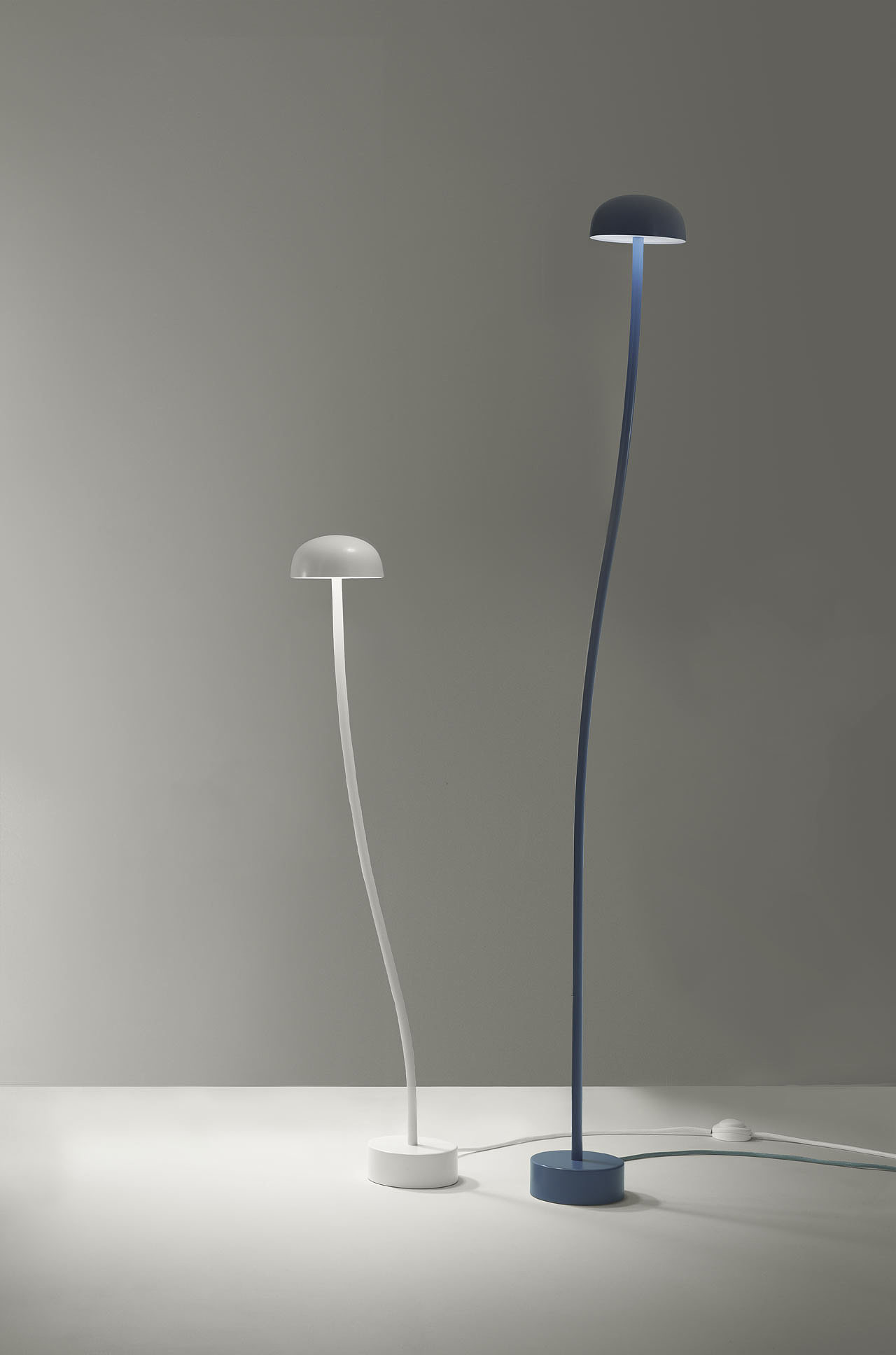 Curve for Zero，Desk lamp，lighting，Botany，Front，