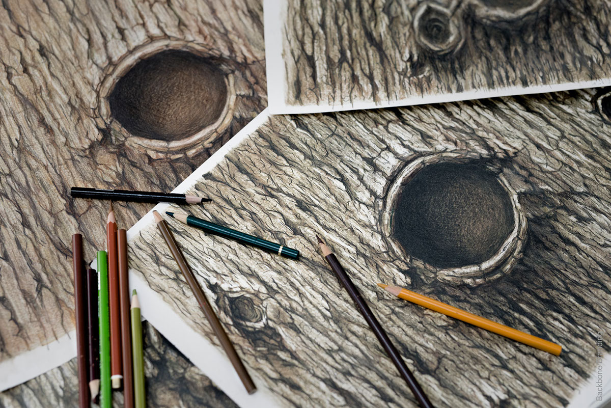 Brand design，originality，packing design，Pchak，