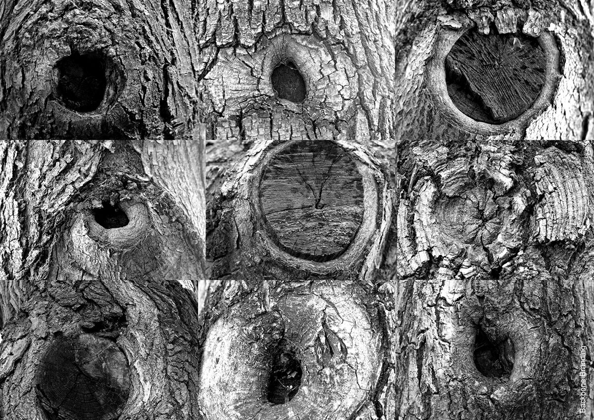 Brand design，originality，packing design，Pchak，