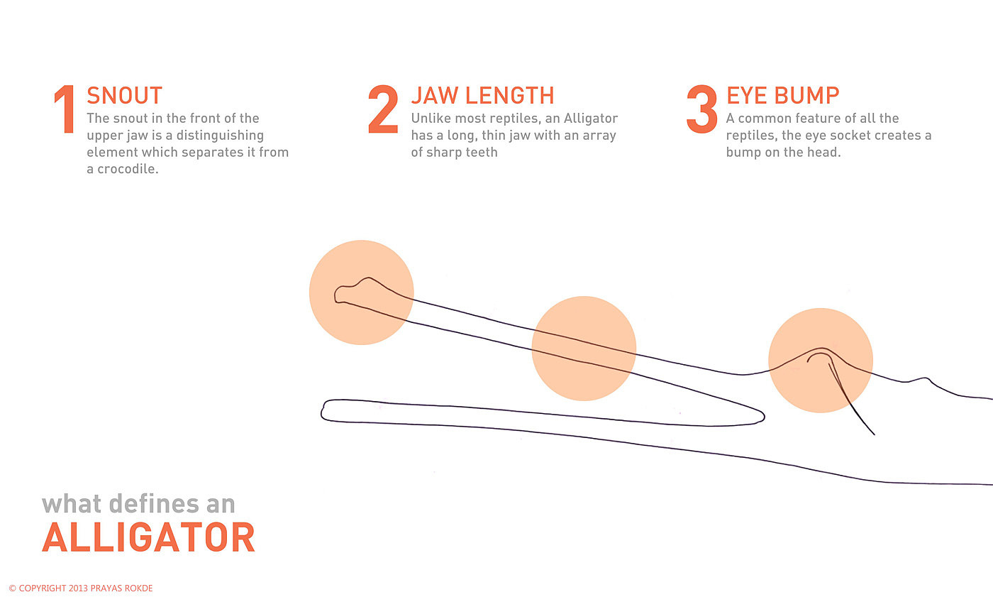 Electric tool，industrial design，Similarity，Product use vision，