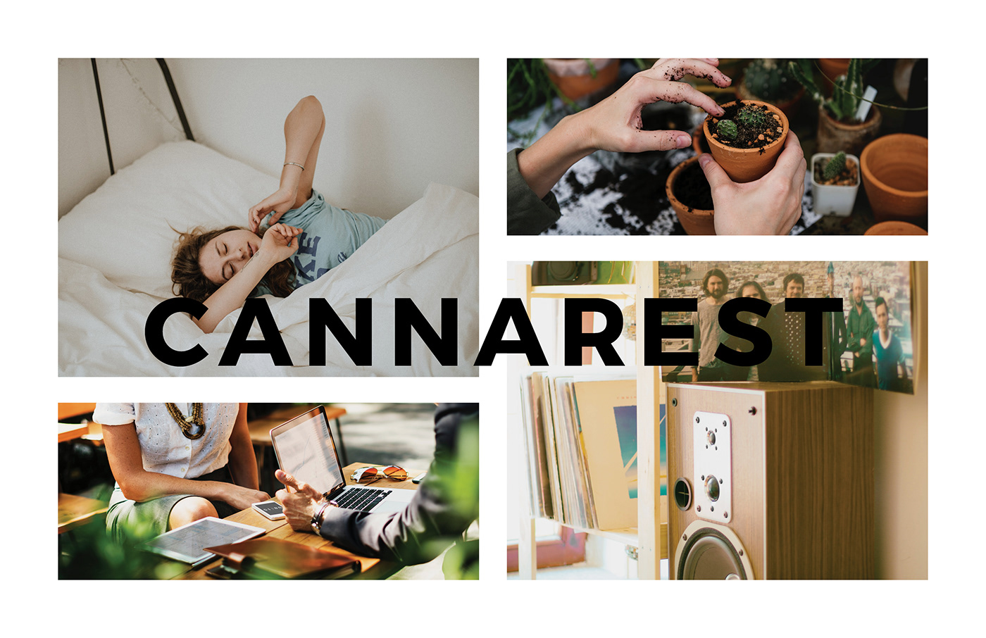 Cannarest，Matt Marchand，indoor，