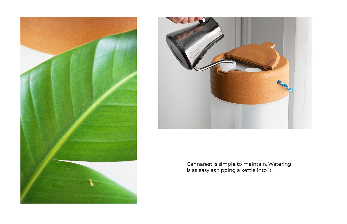 Cannarest，Matt Marchand，indoor，