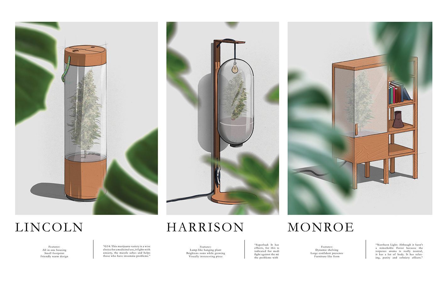 Cannarest，Matt Marchand，indoor，