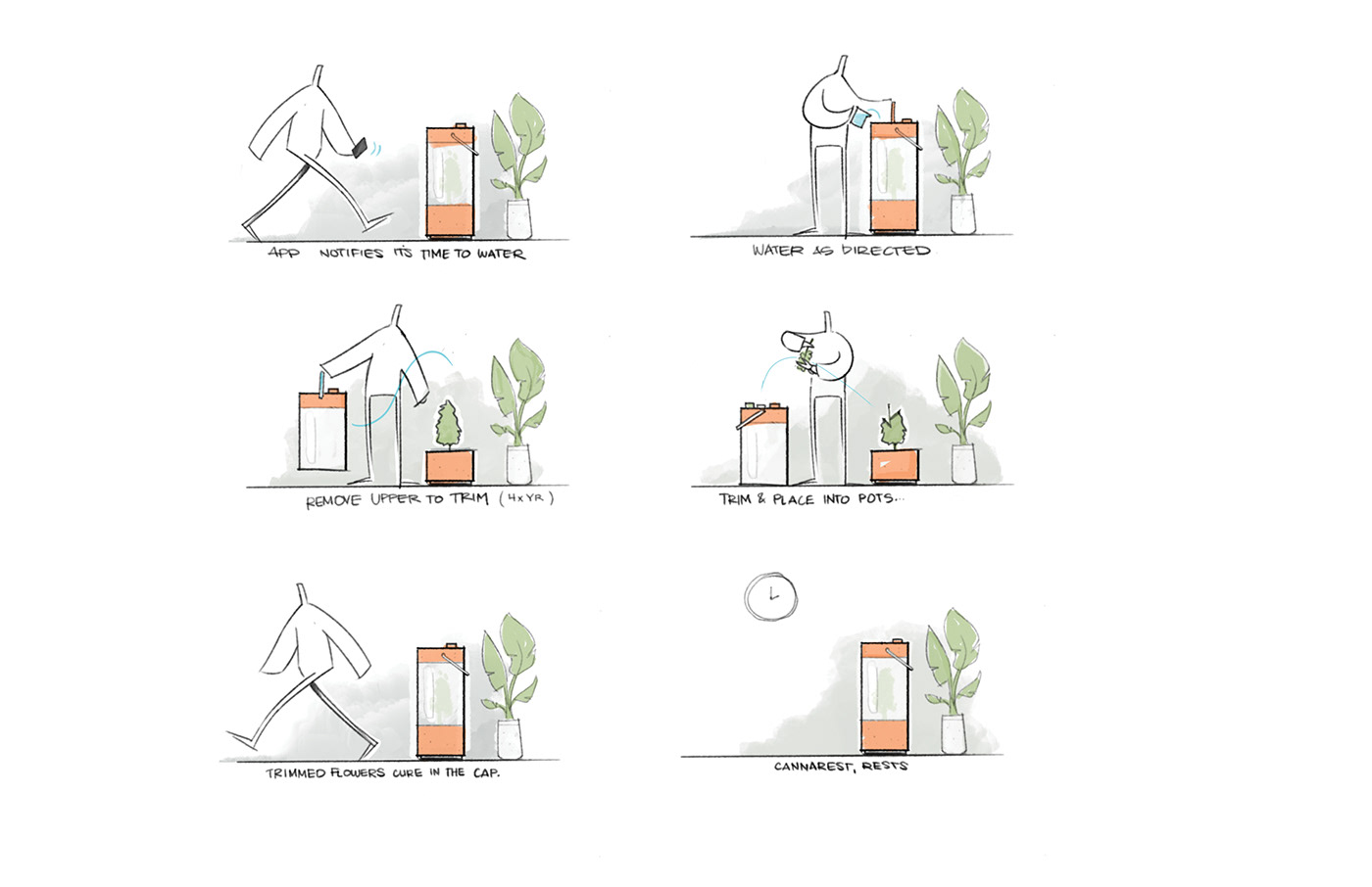 Cannarest，Matt Marchand，indoor，