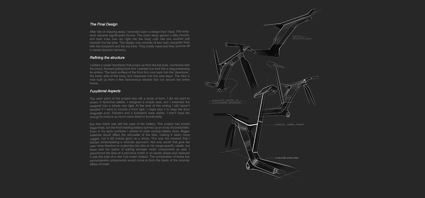 Fabian Bree，Bicycle，Electric，PELIKAN，