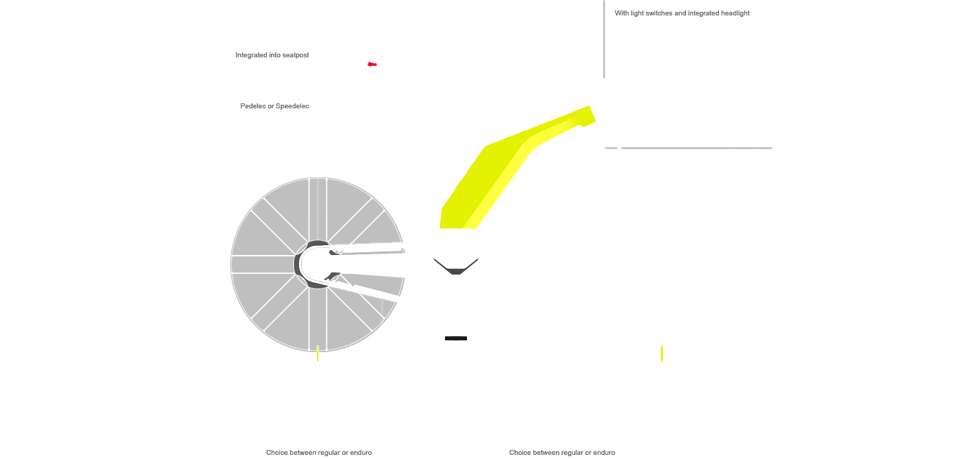 Fabian Breës，自行车，电动，PELIKAN，