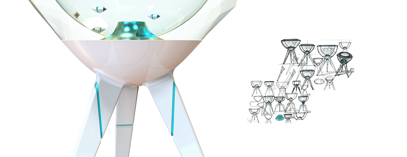 Spa，Fish therapy，Epidermal cleaning，Foot bath，