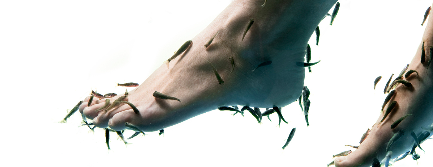 Spa，Fish therapy，Epidermal cleaning，Foot bath，