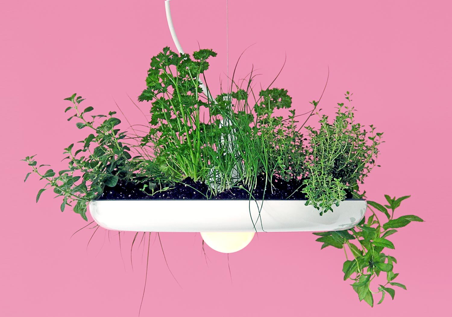 multi-function，articles for daily use，floodlight，