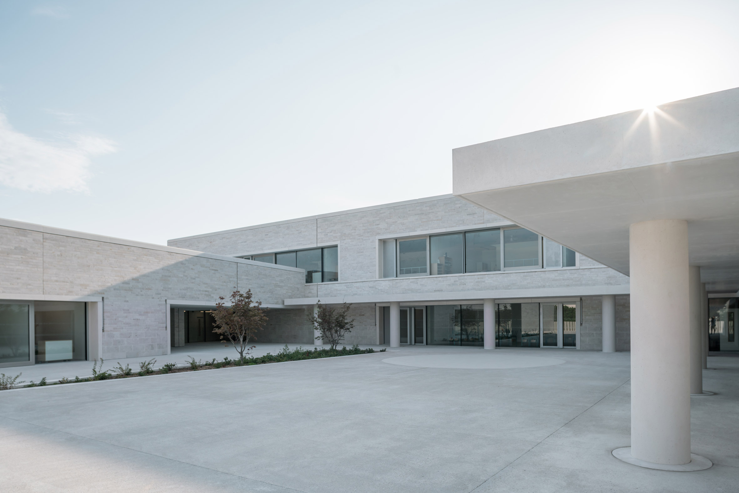 Cannes ，grey，Shi Huihua，school，