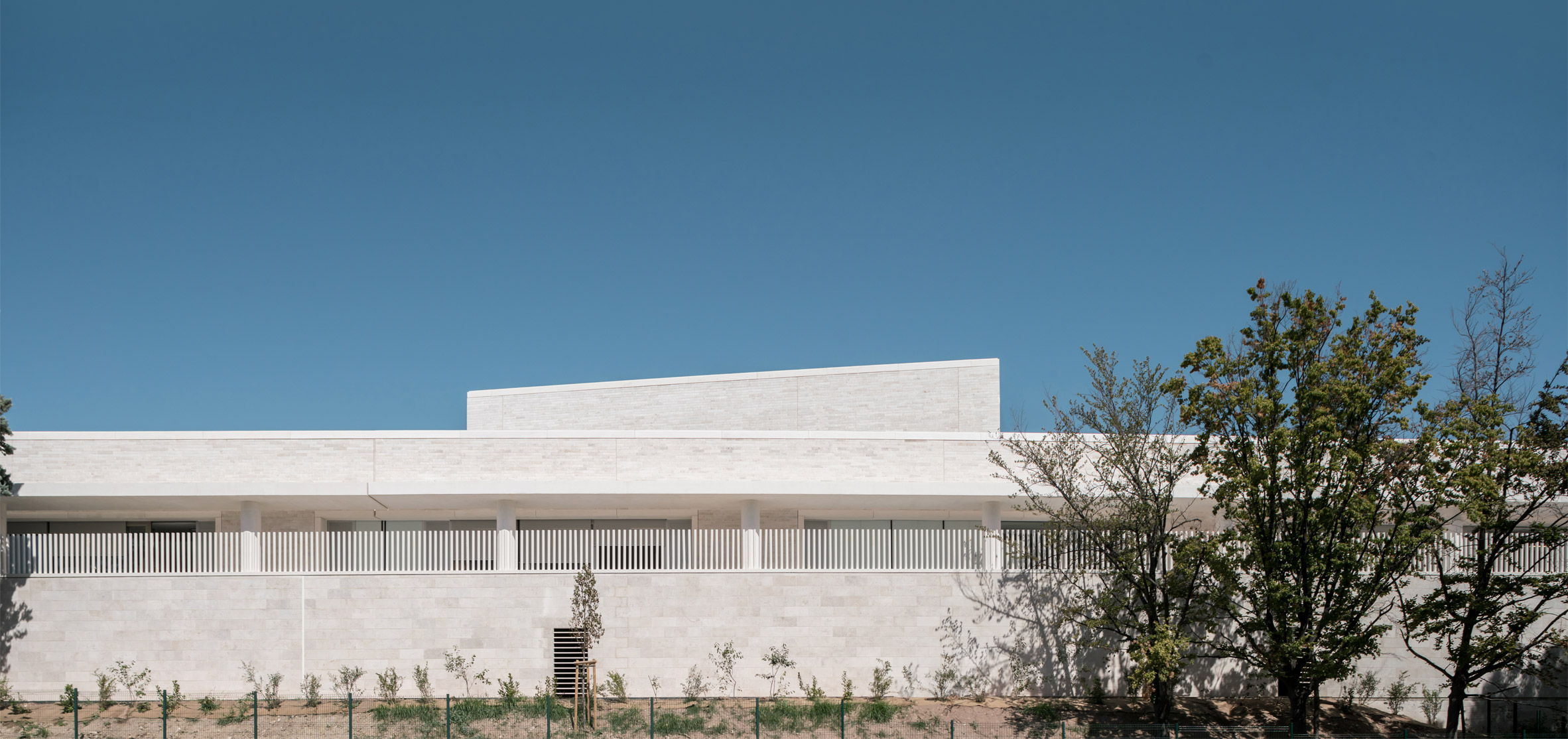 Cannes ，grey，Shi Huihua，school，