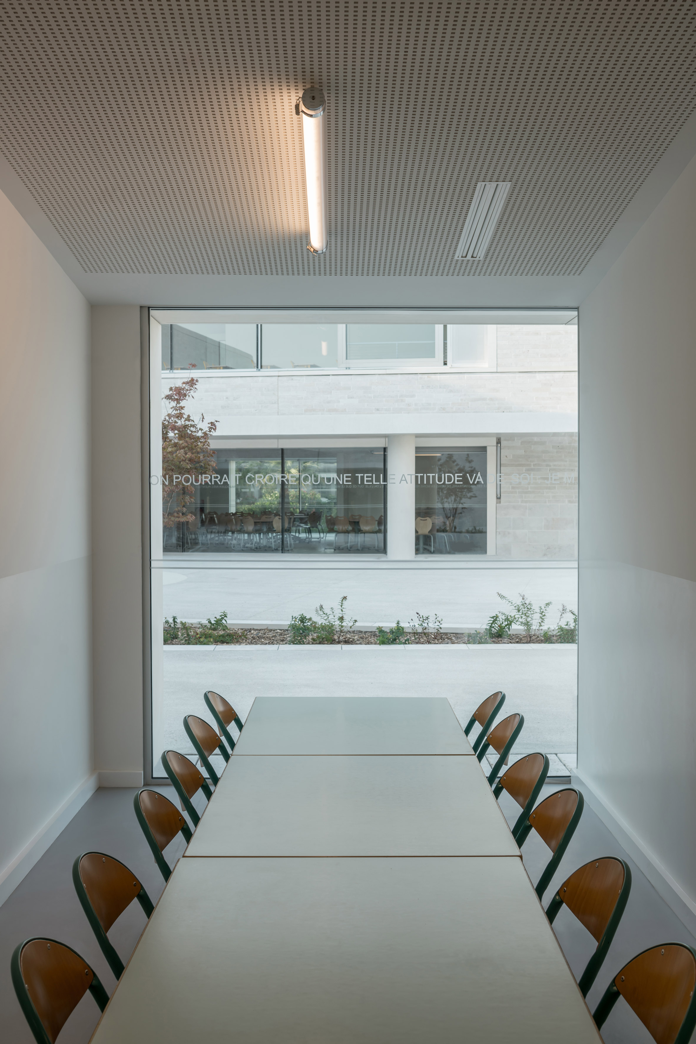 Cannes ，grey，Shi Huihua，school，